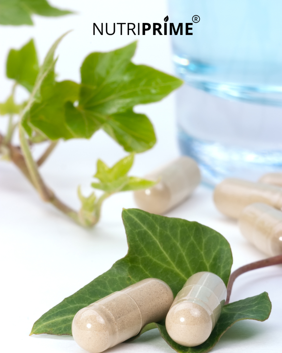 C'est quoi un complément alimentaire ?