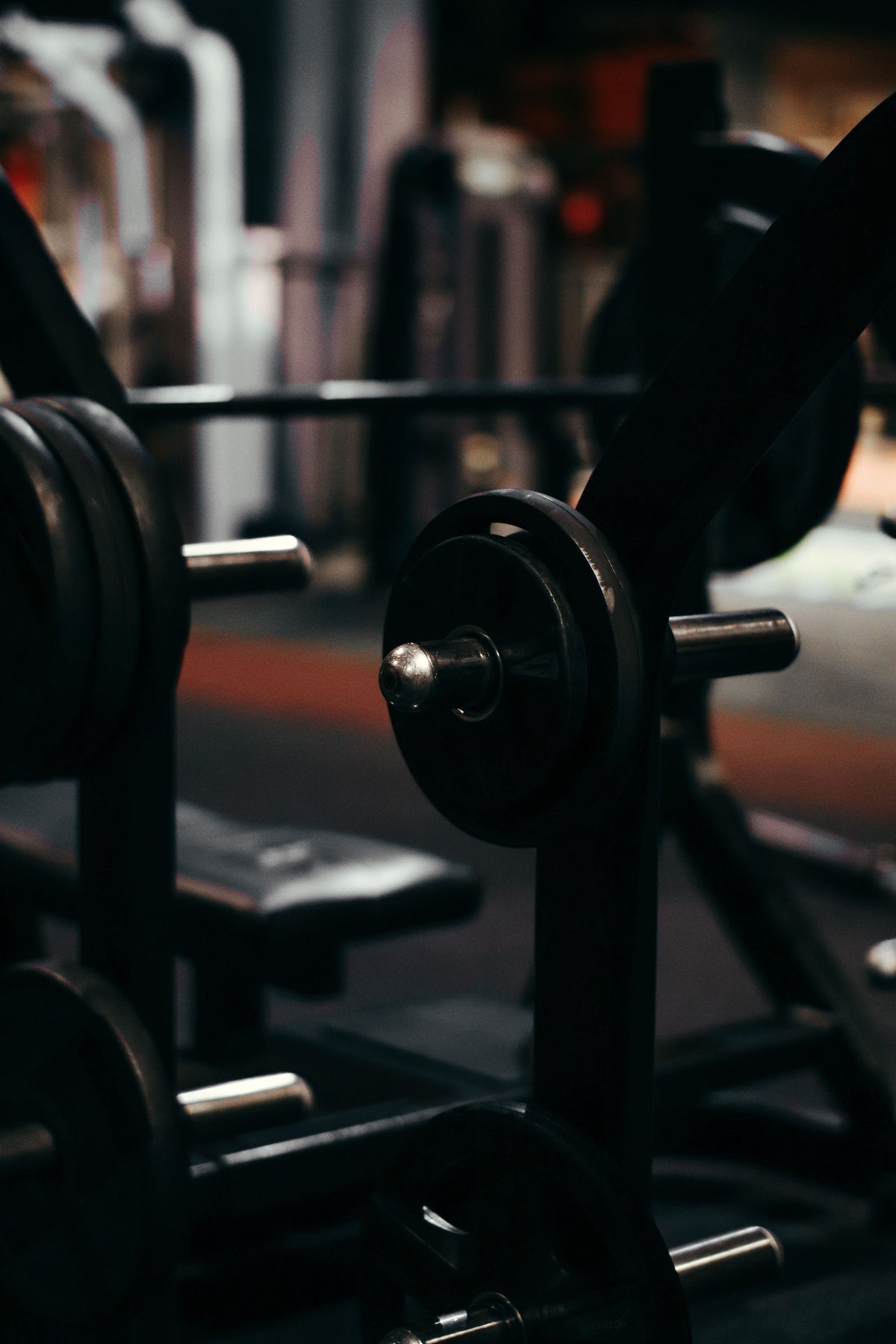 Perte de muscle après 40 ans : comment préserver sa force ?