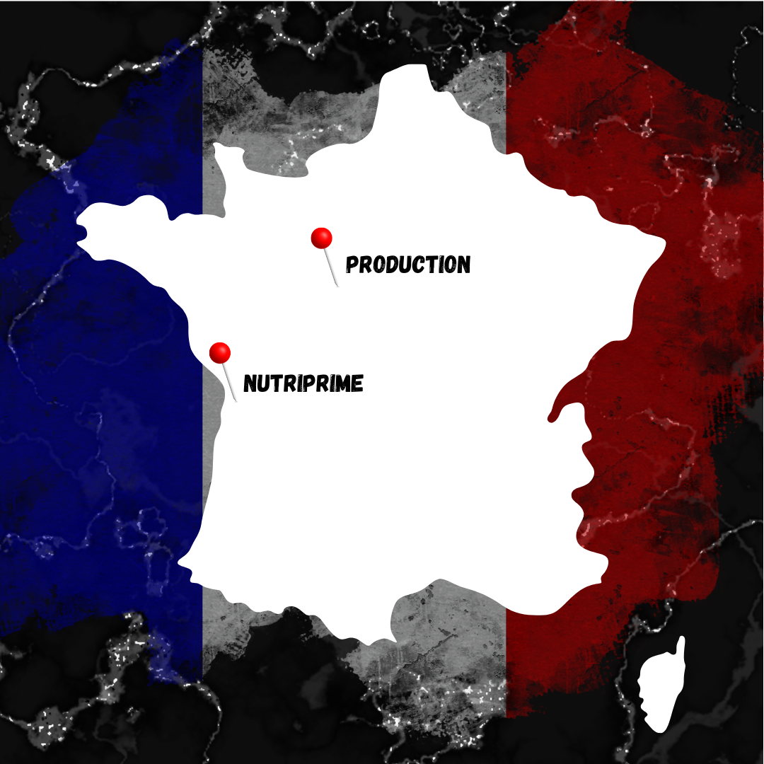 Whey Concentrate Cookie 1kg