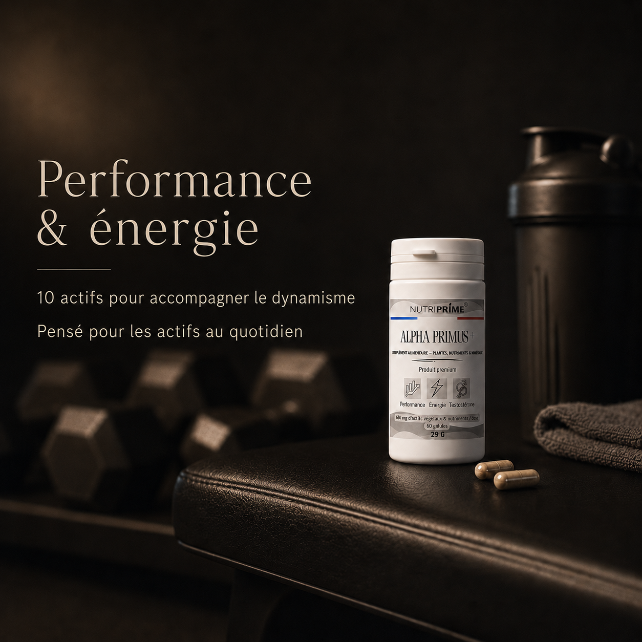 Alpha Primus+ — BOOST Énergie