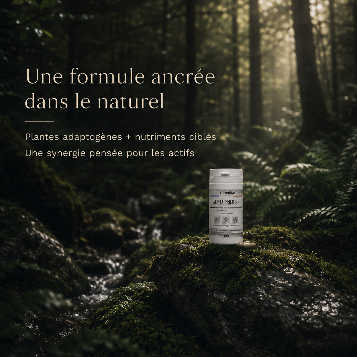 Alpha Primus+ — BOOST Énergie