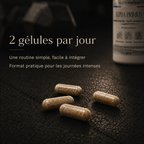 Alpha Primus+ — BOOST Énergie