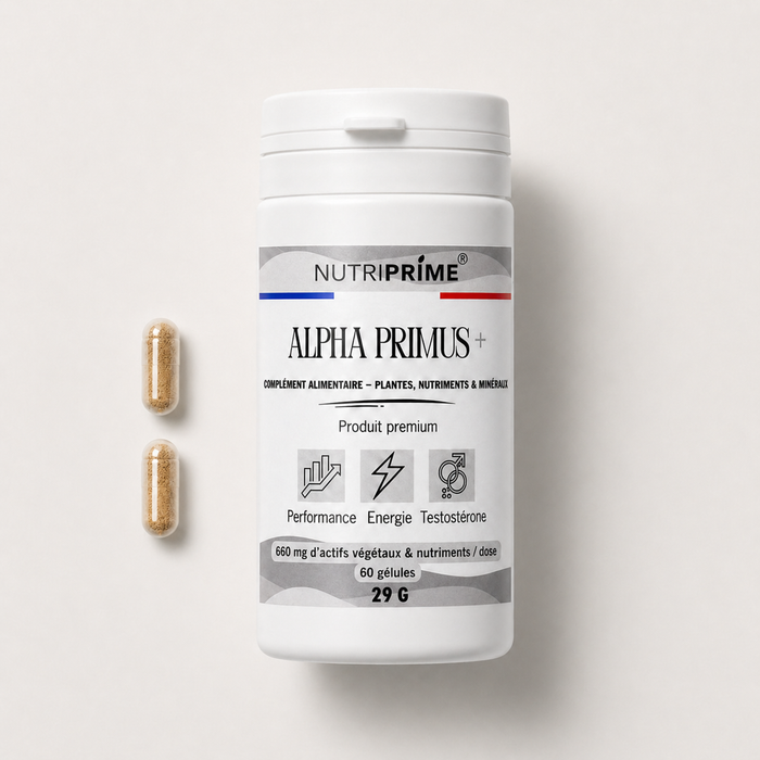 Alpha Primus+ — BOOST Énergie