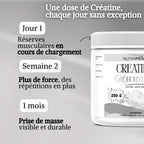 Créatine 250g