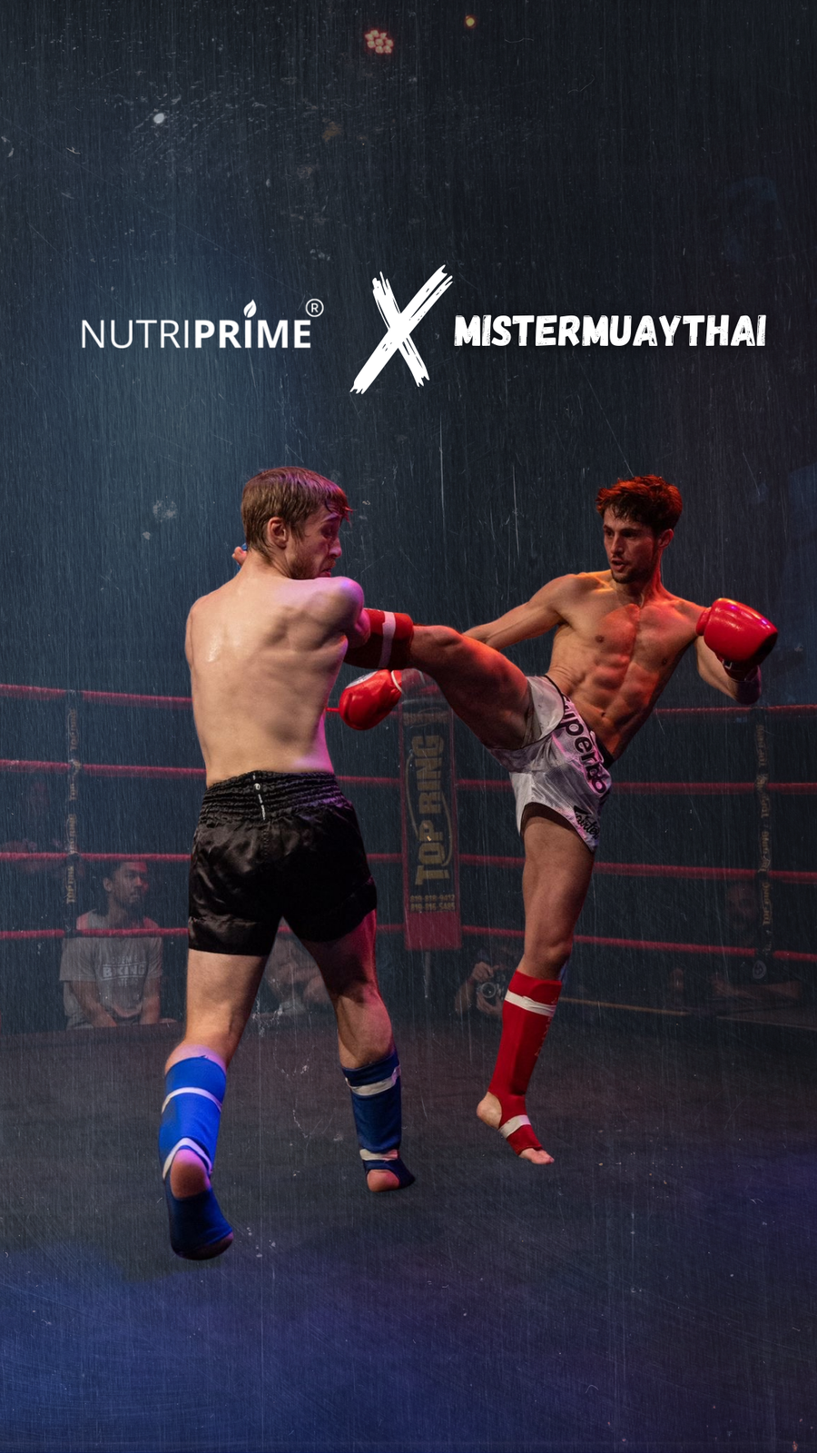 MisterMuayThai